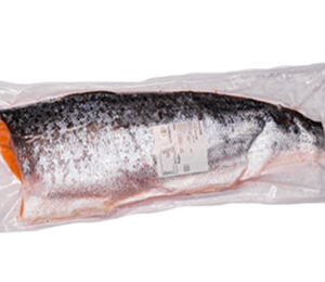 Salmon Fillets